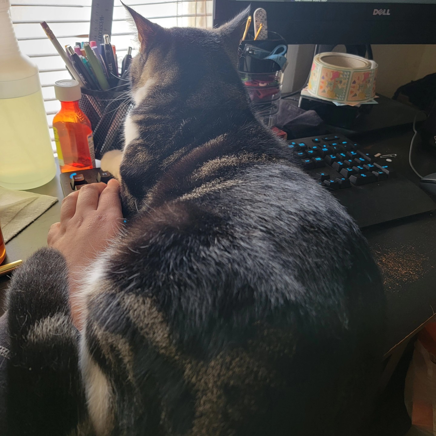 Jimothy's Butt